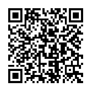 Link to your fundraiser QRCode - Fundraising