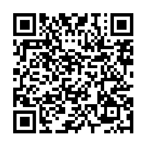 Link to your fundraiser QRCode - Fundraising