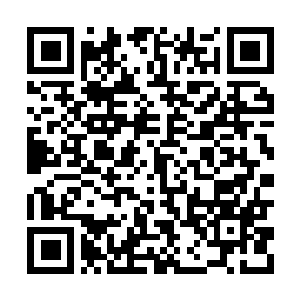 Link to your fundraiser QRCode - Fundraising