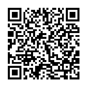 Link to your fundraiser QRCode - Fundraising