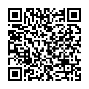 Link to your fundraiser QRCode - Fundraising