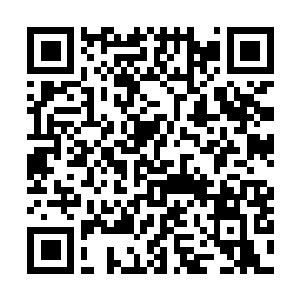 Link to your fundraiser QRCode - Fundraising