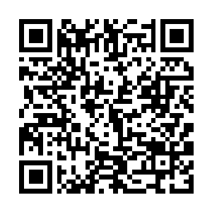 Link to your fundraiser QRCode - Fundraising
