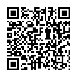 Link to your fundraiser QRCode - Fundraising