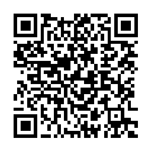 Link to your fundraiser QRCode - Fundraising