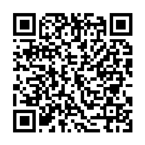 Link to your fundraiser QRCode - Fundraising