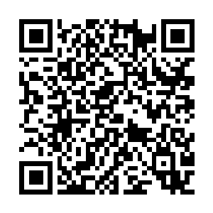 Link to your fundraiser QRCode - Fundraising