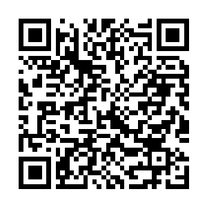 Link to your fundraiser QRCode - Fundraising