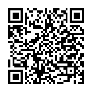 Link to your fundraiser QRCode - Fundraising