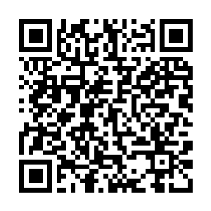 Link to your fundraiser QRCode - Fundraising
