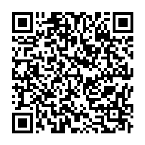 Link to your fundraiser QRCode - Fundraising