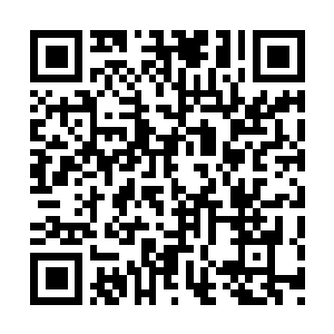 Link to your fundraiser QRCode - Fundraising