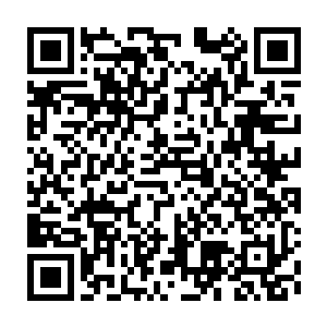 Link to your fundraiser QRCode - Fundraising