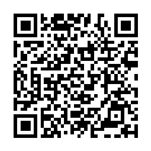 Link to your fundraiser QRCode - Fundraising