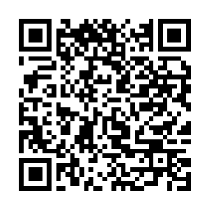 Link to your fundraiser QRCode - Fundraising