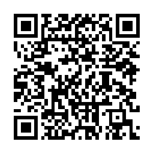 Link to your fundraiser QRCode - Fundraising
