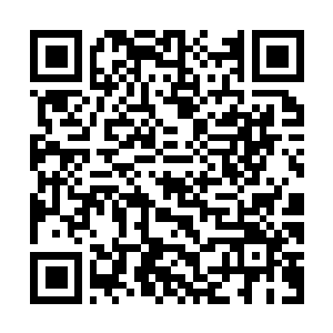 Link to your fundraiser QRCode - Fundraising