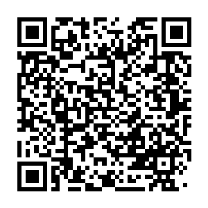 Link to your fundraiser QRCode - Fundraising