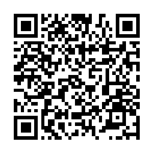 Link to your fundraiser QRCode - Fundraising