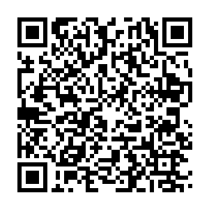 Link to your fundraiser QRCode - Fundraising