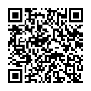Link to your fundraiser QRCode - Fundraising