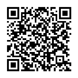 Link to your fundraiser QRCode - Fundraising