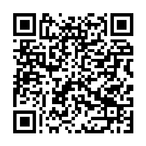 Link to your fundraiser QRCode - Fundraising