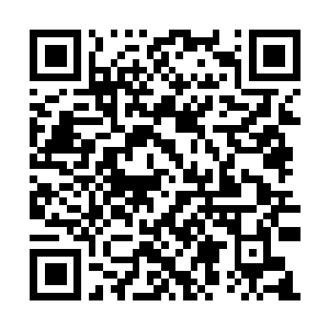 Link to your fundraiser QRCode - Fundraising