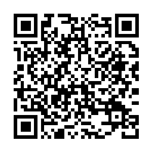 Link to your fundraiser QRCode - Fundraising