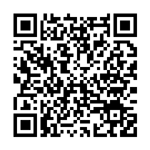 Link to your fundraiser QRCode - Fundraising