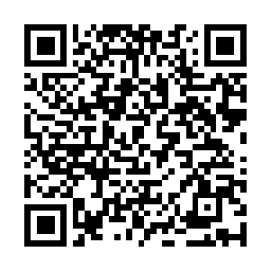 Link to your fundraiser QRCode - Fundraising