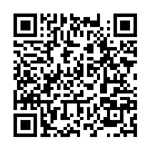 Link to your fundraiser QRCode - Fundraising