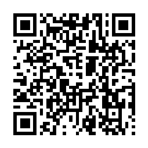 Link to your fundraiser QRCode - Fundraising