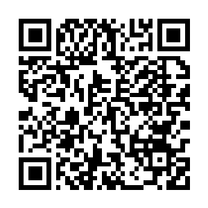 Link to your fundraiser QRCode - Fundraising