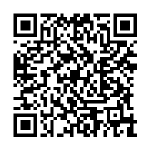 Link to your fundraiser QRCode - Fundraising