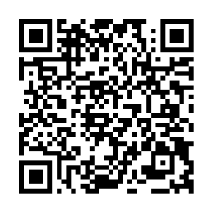 Link to your fundraiser QRCode - Fundraising