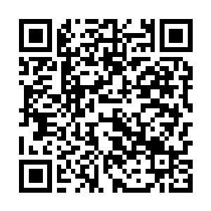 Link to your fundraiser QRCode - Fundraising