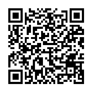 Link to your fundraiser QRCode - Fundraising