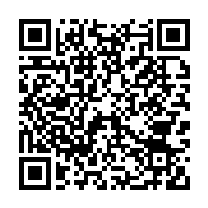 Link to your fundraiser QRCode - Fundraising