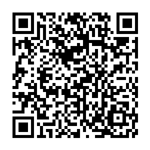 Link to your fundraiser QRCode - Fundraising