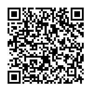 Link to your fundraiser QRCode - Fundraising