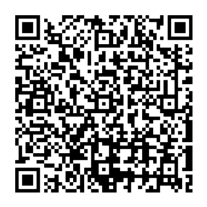 Link to your fundraiser QRCode - Fundraising