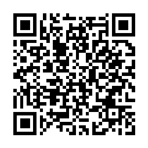 Link to your fundraiser QRCode - Fundraising