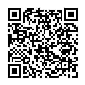 Link to your fundraiser QRCode - Fundraising