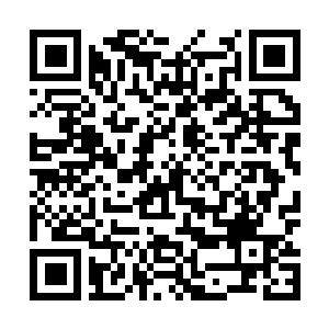 Link to your fundraiser QRCode - Fundraising
