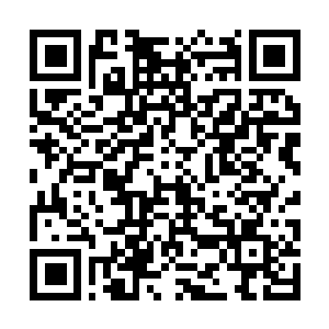 Link to your fundraiser QRCode - Fundraising