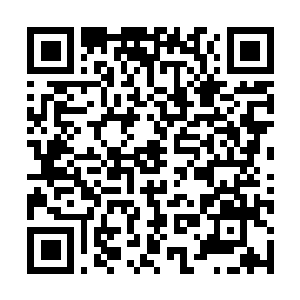Link to your fundraiser QRCode - Fundraising