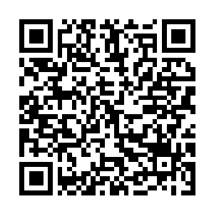 Link to your fundraiser QRCode - Fundraising