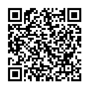 Link to your fundraiser QRCode - Fundraising
