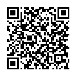 Link to your fundraiser QRCode - Fundraising